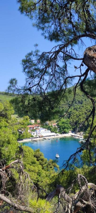 Agnontas Skopelos Country House Diamantis & Chrisi מראה חיצוני תמונה