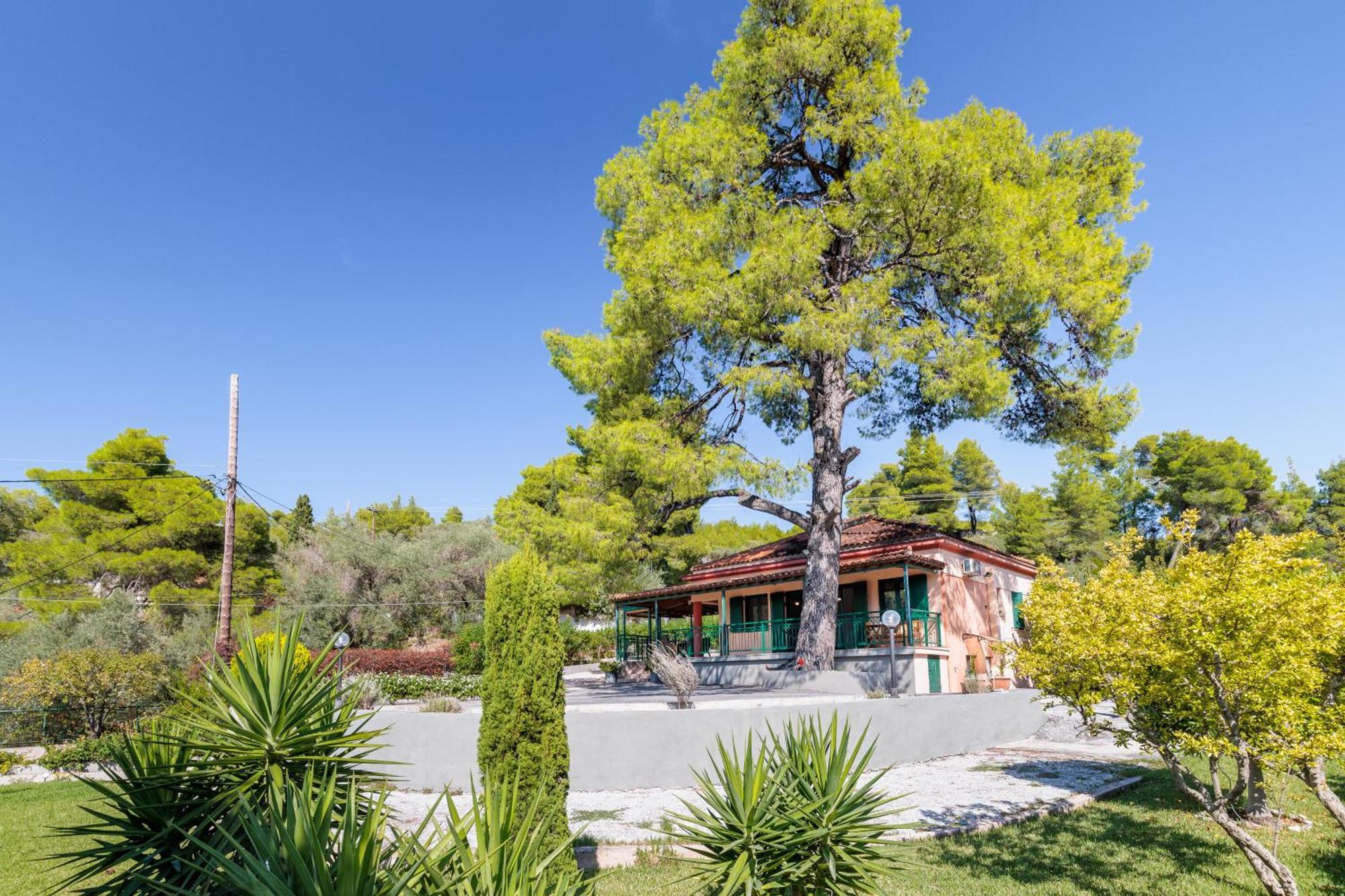 Agnontas Skopelos Country House Diamantis & Chrisi מראה חיצוני תמונה